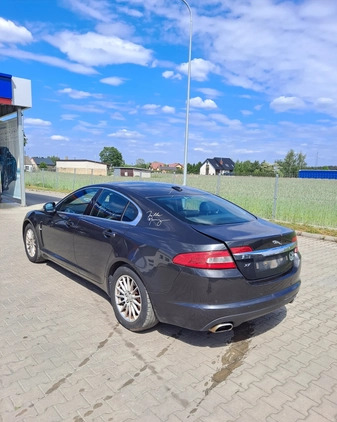 Jaguar XF cena 7800 przebieg: 150437, rok produkcji 2010 z Lesko małe 154